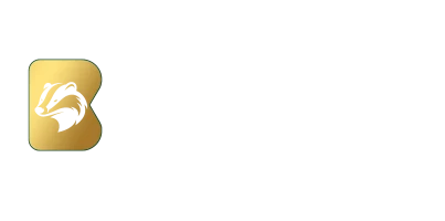 Bonisa logosu